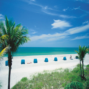 Grand Plaza Beachfront Resort & Conference Center, Saint Petersburg Grand Plaza Beachfront Resort & Conference Center, Saint Petersburg