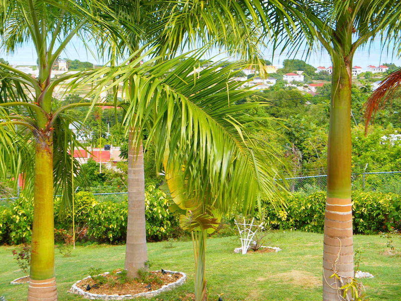 Emerald View Resort Villa, Montego Bay Emerald View Resort Villa, Montego Bay