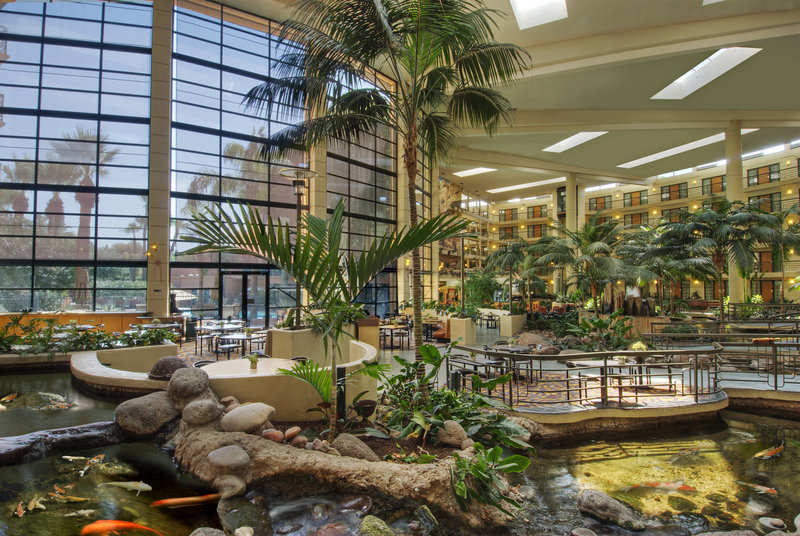 Embassy Suites Phoenix - Biltmore, Phoenix Embassy Suites Phoenix - Biltmore, Phoenix