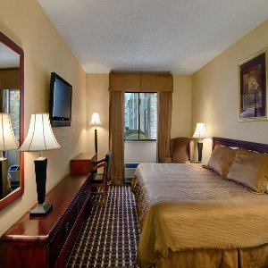 Standard King Bed Room