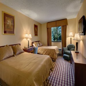 Standard Two Double Bed Room