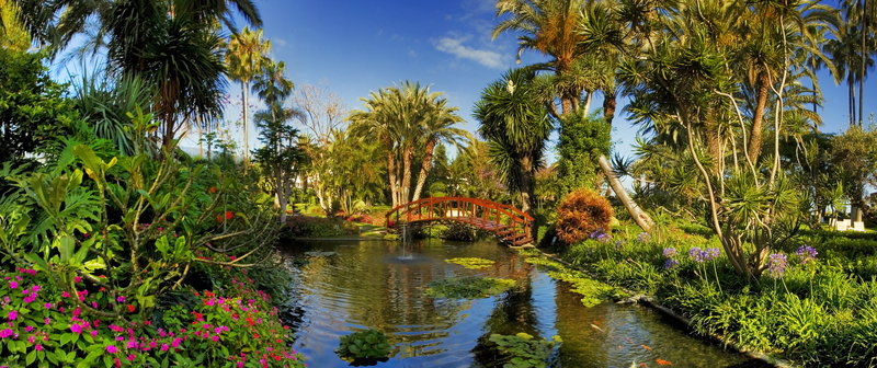 Hotel Botanico & The Oriental Spa Garden, Tenerife Hotel Botanico & The Oriental Spa Garden, Tenerife