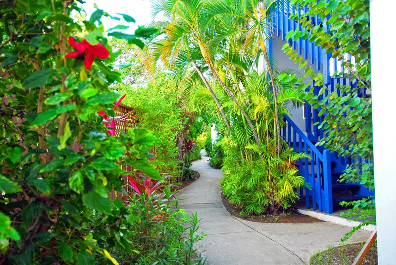 HOLGER DANSKE HOTEL, Christiansted HOLGER DANSKE HOTEL, Christiansted