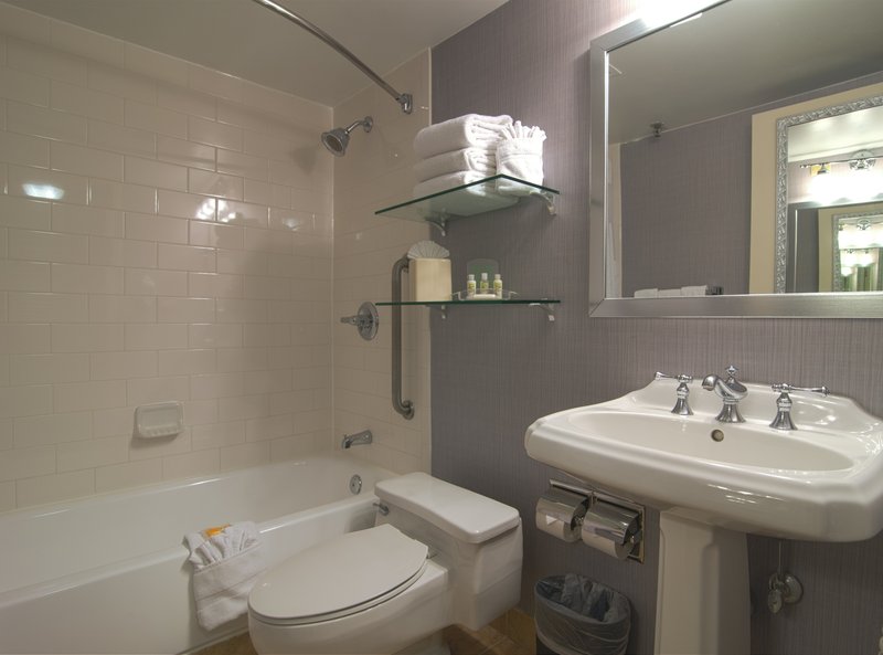 Holiday Inn Denver East - Stapleton, Denver Holiday Inn Denver East - Stapleton, Denver