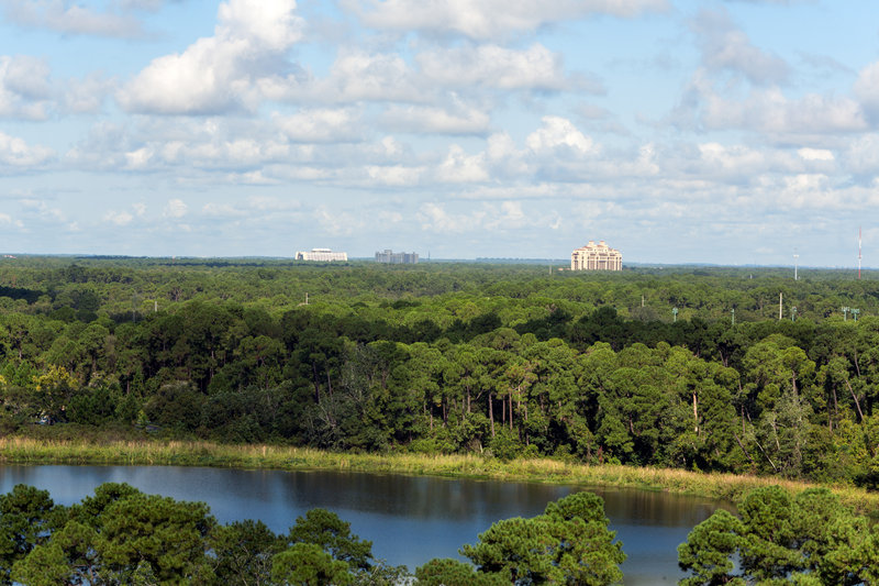 Holiday Inn Orlando - Disney Springs® Area, Orlando Holiday Inn Orlando - Disney Springs® Area, Orlando