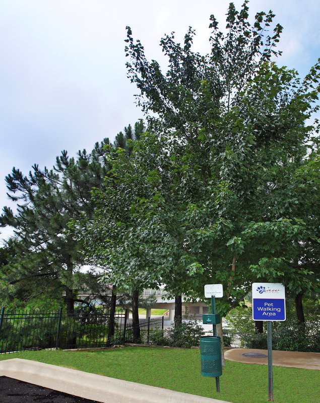 Candlewood Suites West Little Rock, Little Rock Candlewood Suites West Little Rock, Little Rock