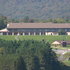 Image from VFM Leonardo