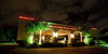 Image from VFM Leonardo