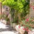 Image from VFM Leonardo