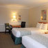 Image from VFM Leonardo