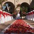 Image from VFM Leonardo