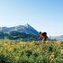 Grand Lodge Crested Butte