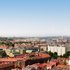 Image from VFM Leonardo