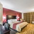 Red Roof Inn St Petersburg - Clearwater